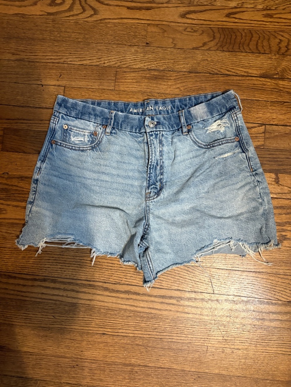 American Eagle Outfitters Light Blue Distressed Denim Cutoff Shorts